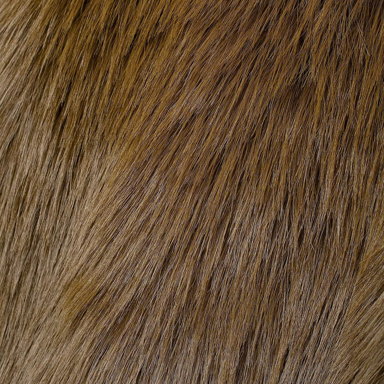 Brown faux fur with long soft fibers on a Langry Fashion Fur Effect Short Jacket