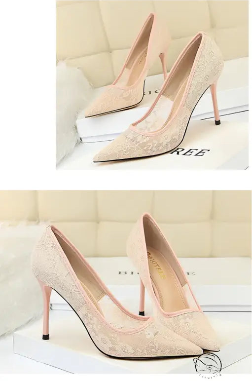 Elegant langry nude lace stiletto pumps with pointed toes in fashion