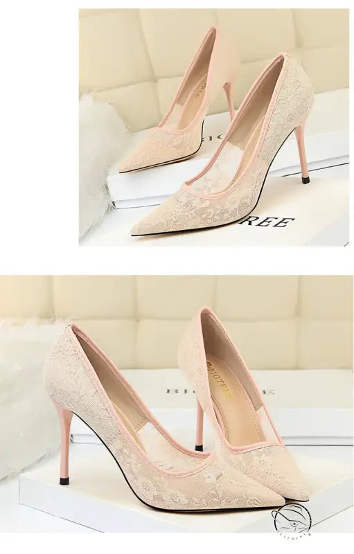 Elegant langry nude lace stiletto pumps with pointed toes in fashion