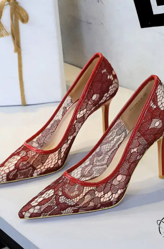 Skinny Night Club Mesh Stiletto High Heel Shoes