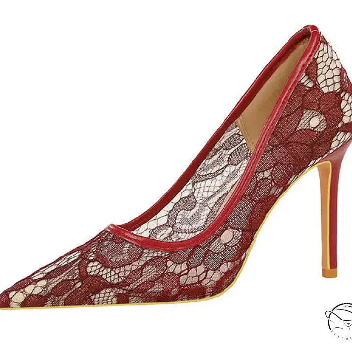 Skinny Night Club Mesh Stiletto High Heel Shoes