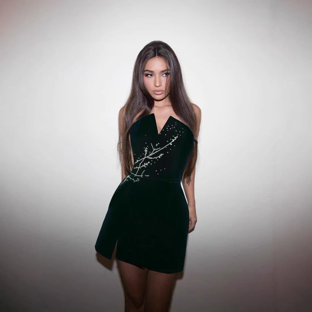 Elegant tube velvet short dress with black floral embroidery