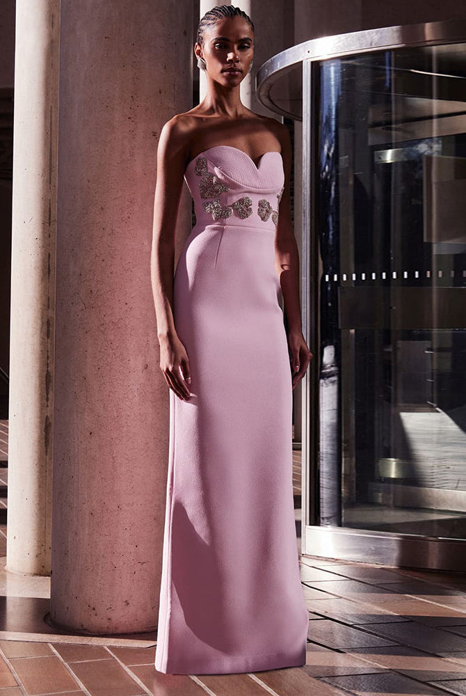 Elegant Pink Tube Top Maxi Dress showcasing a stylish strapless pink formal gown