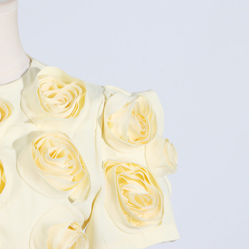 Delicate cream-colored roses enhance the French Sweet Summer Puff Sleeve Top and Skirt Set
