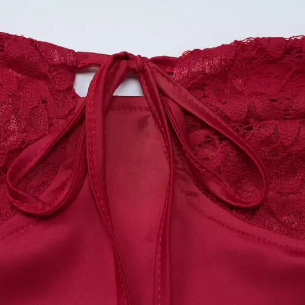 Backless Slim Fit Sheath Dress in Lace and Tulle for Parties