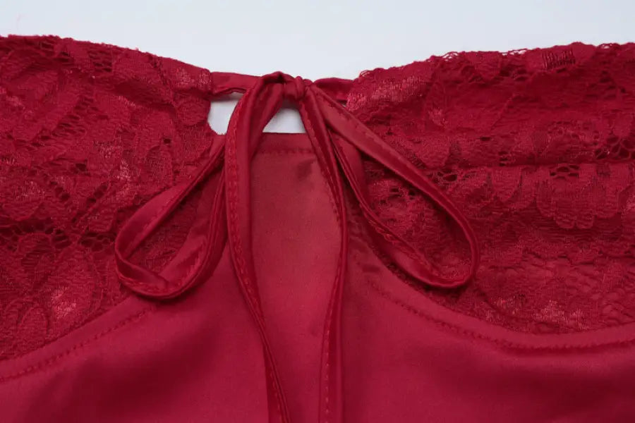 Backless Slim Fit Sheath Dress in Lace and Tulle for Parties