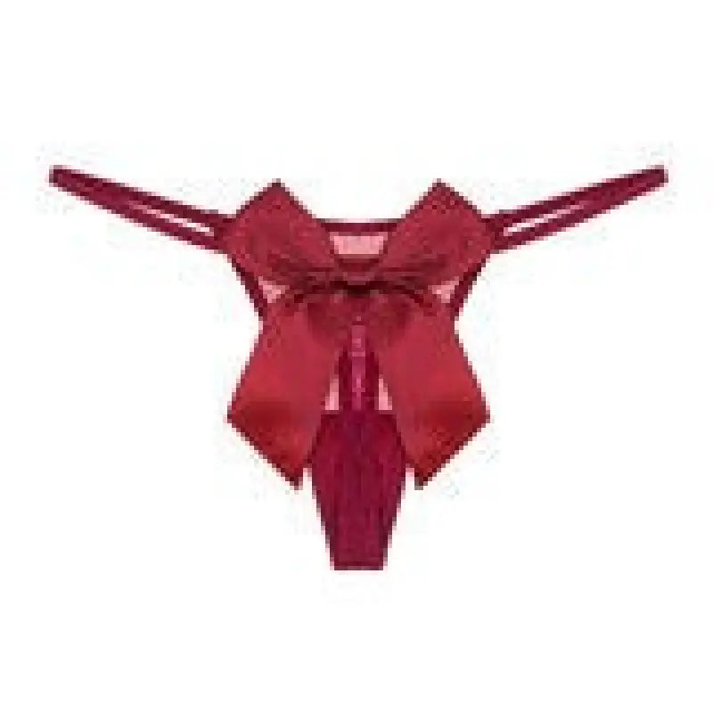 SEXY EMBROIDERY T SHAPED PANTIES