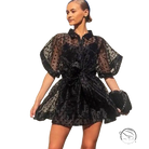 Black polka dot sheer see-through organza dress