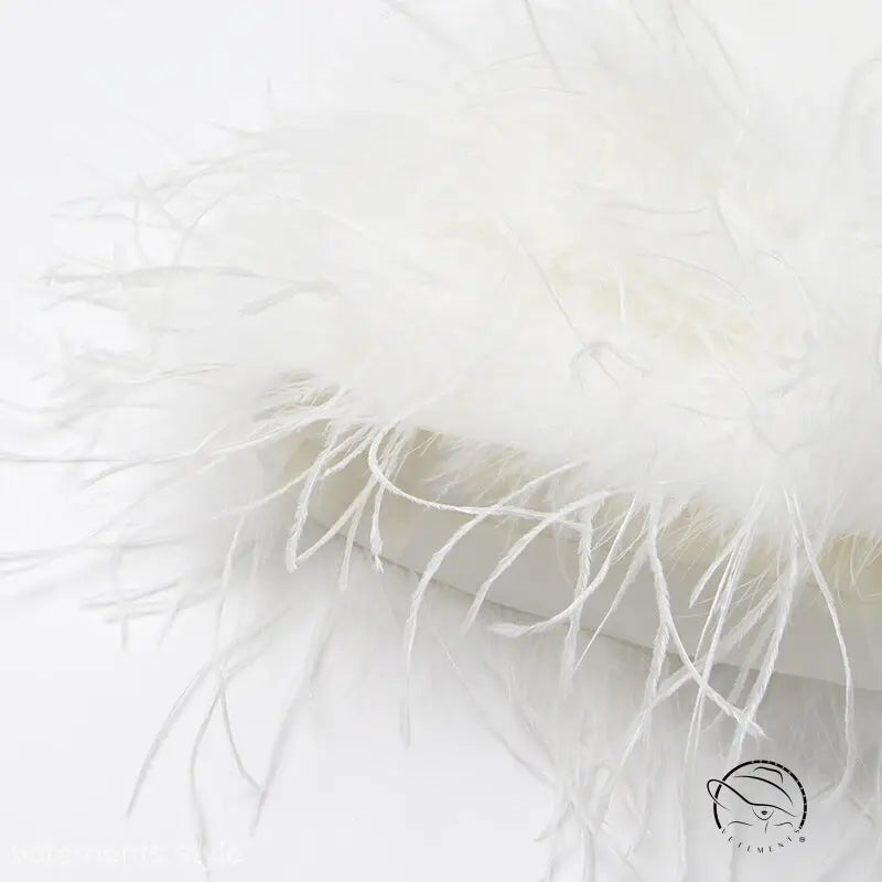 AUSTRALIAN STITCHING HEM FEATHER DRESS-VETEMENTS 